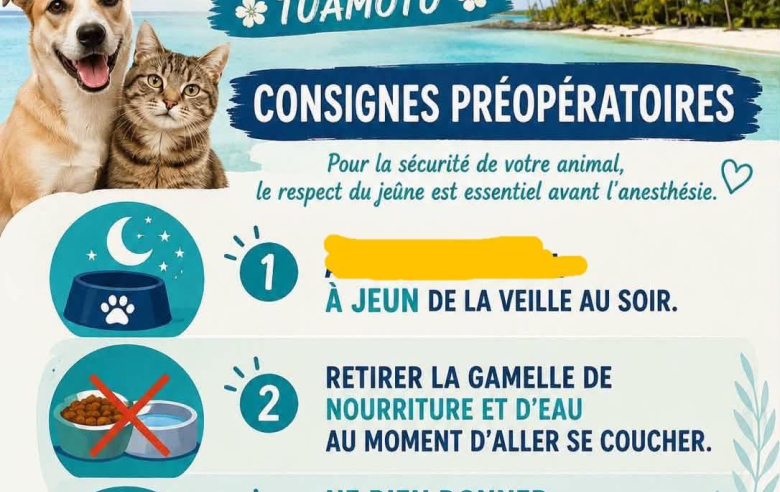 actualité